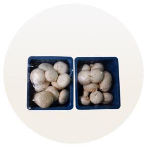 mashrooms