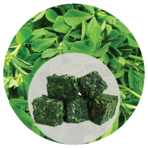 methi block by himgiri group